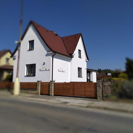 Penzion Burda Sepekov Экстерьер фото